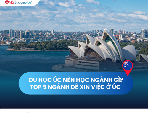 Du Học Úc Nên Học Ngành Gì? Top 9 Ngành Dễ Xin Việc Ở Úc