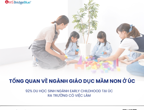Tổng Quan Về Ngành Giáo Dục Mầm Non Ở Úc